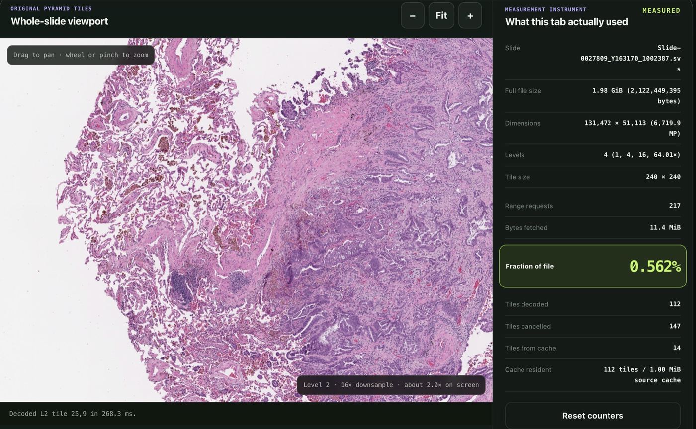 Whole-slide viewer reading an Aperio SVS pathology slide in the browser